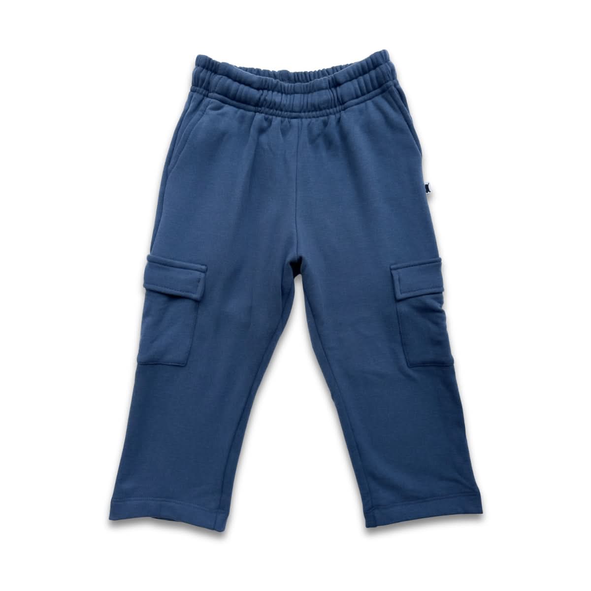 Little & Lively Youth Bamboo Fleece Cargo Pants in navy for children, with an elastic waistband and two side cargo pockets, shown on a white background.