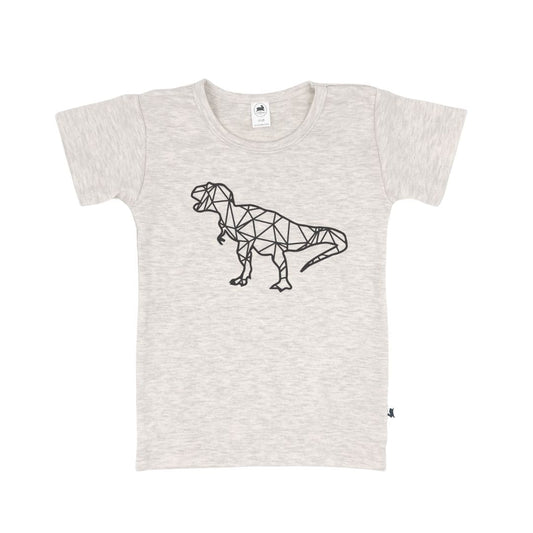 Unleash Your Child's Inner Dinosaur Lover with the 'T-Rex' Slim-Fit T-Shirt | Ash