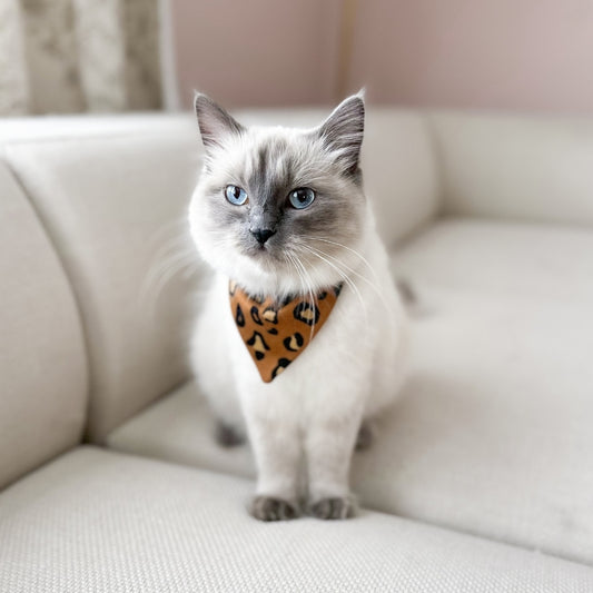 Pet Bamboo Bandana | Bronze Leopard