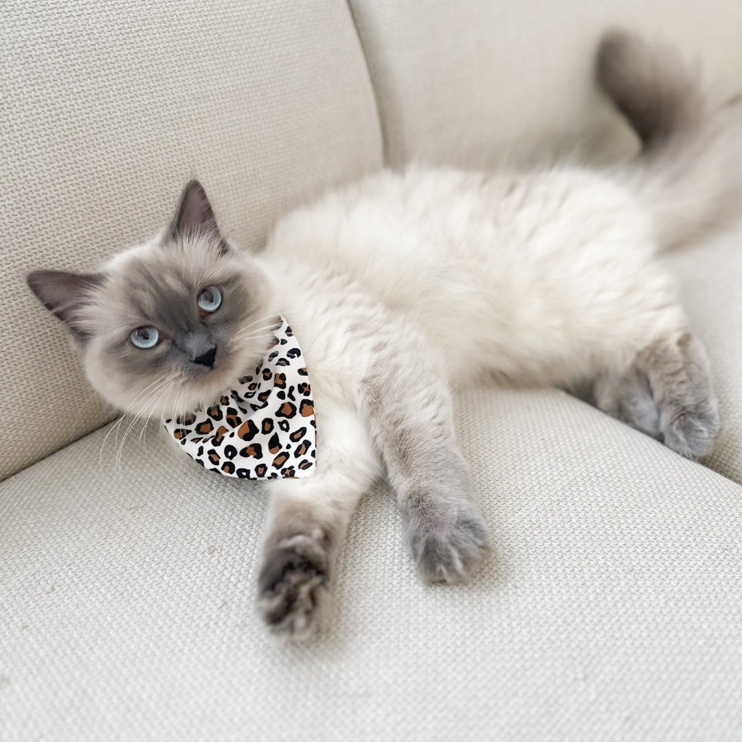 Pet Bamboo Bandana | Snow Leopard