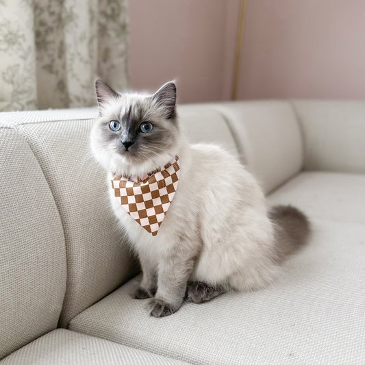 Pet Bamboo Bandana | Blush Checkers