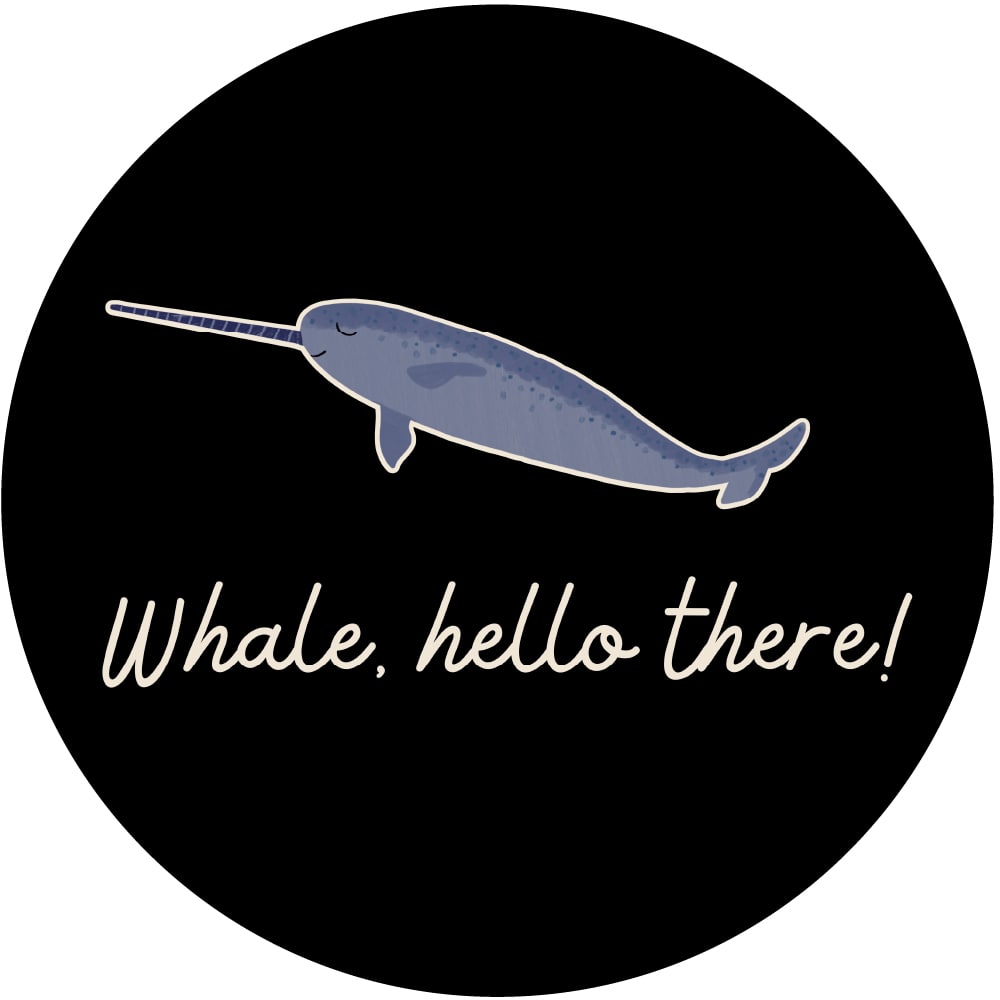 Adult Unisex Crewneck 'Whale Hello There' T-Shirt | Black