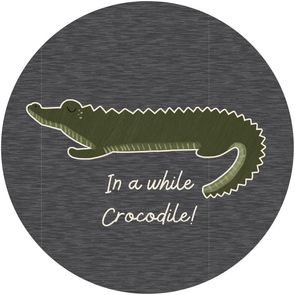 Adult Unisex 'In a While Crocodile' Bamboo Pullover | Charcoal