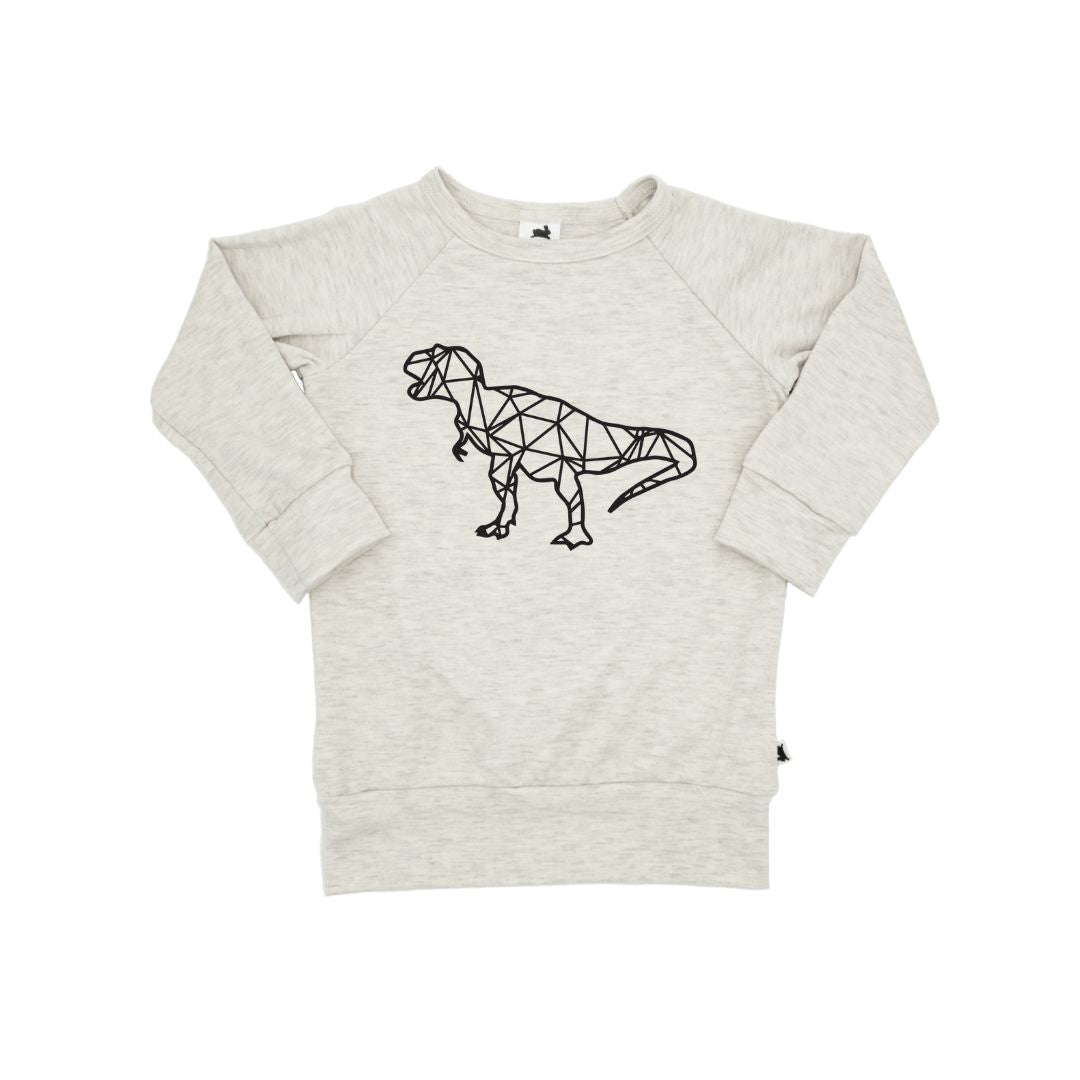 Baby/kid’s/youth ’t-rex’ Pullover | Ash Kid’s Bamboo/cotton 1