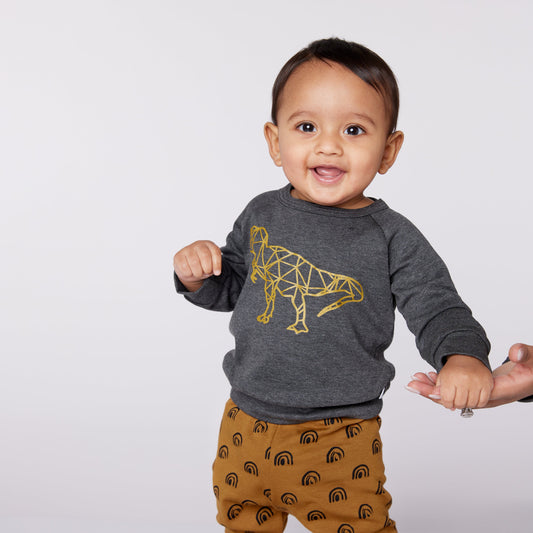 Baby/kid’s/youth ’t-rex’ Pullover | Charcoal Kid’s Bamboo/cotton 2